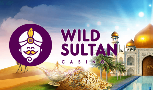 Comment déposer et retirer sur le casino Wild Sultan ?