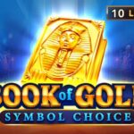 book of gold symbol choice slot playson